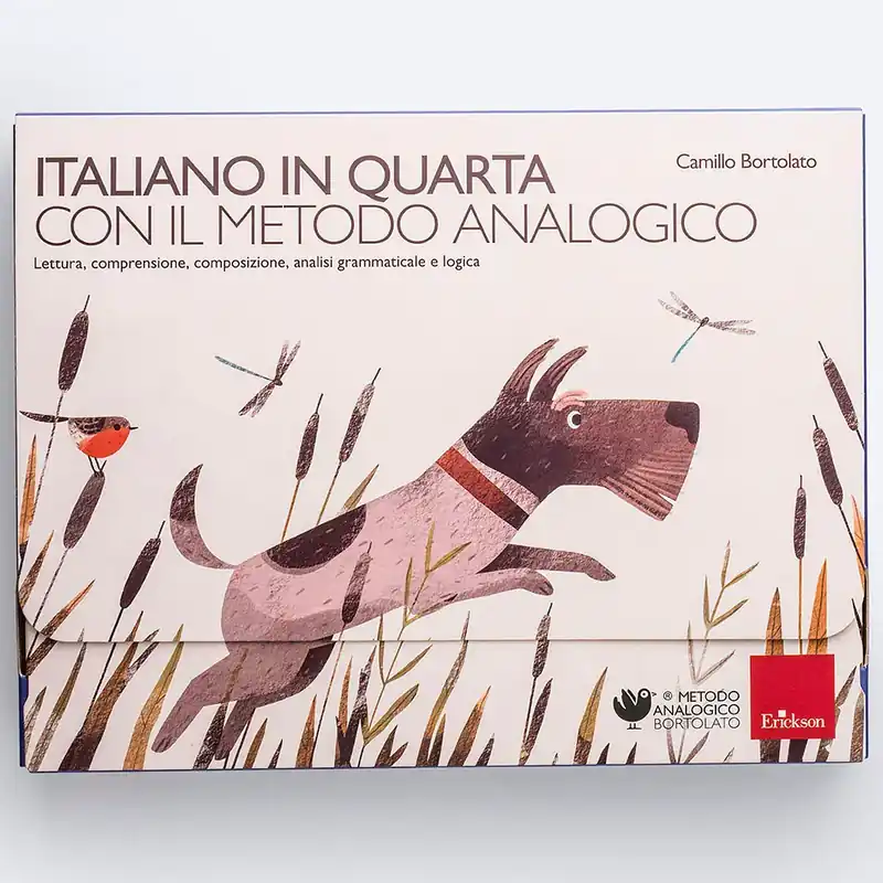 Spedito Oggi Italiano in quarta con il Metodo Analogico