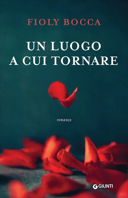 Un luogo a cui tornare Occasione Imperdibile
