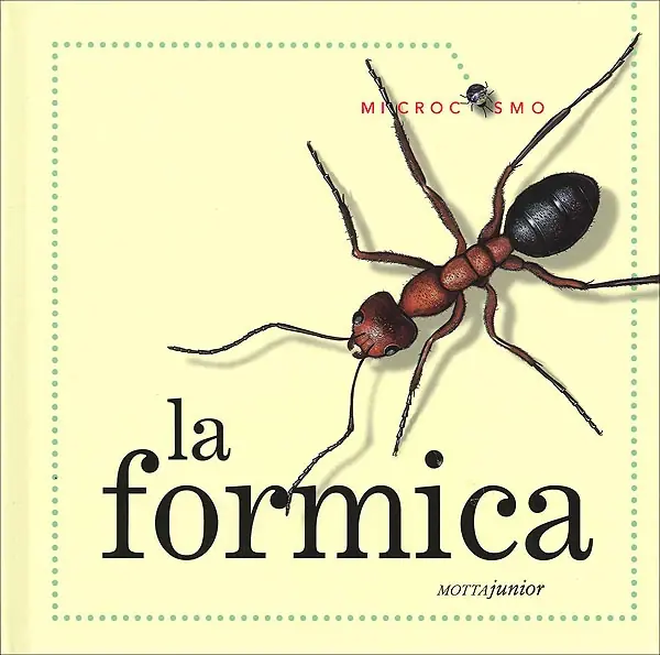 Consegna Rapida La formica