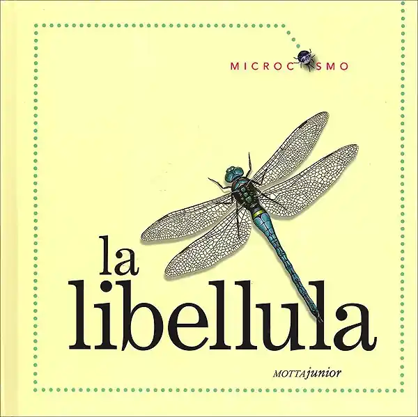 La libellula Solo Oggi