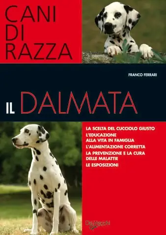 A Buon Prezzo Il dalmata La scelta del cucciolo giusto - l‘educazione alla vita in famiglia - l‘alimentazione corretta - la prevenzione e la cura delle malattie - le esposizioni