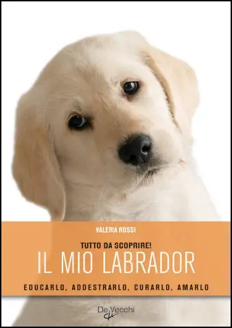 Ultima Occasione Il mio labrador Educarlo, addestrarlo, curalo, amarlo