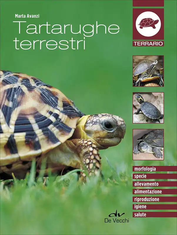 Super Prezzo Tartarughe terrestri Morfologia - Specie - Allevamento - Alimentazione - Riproduzione - Igiene - Salute