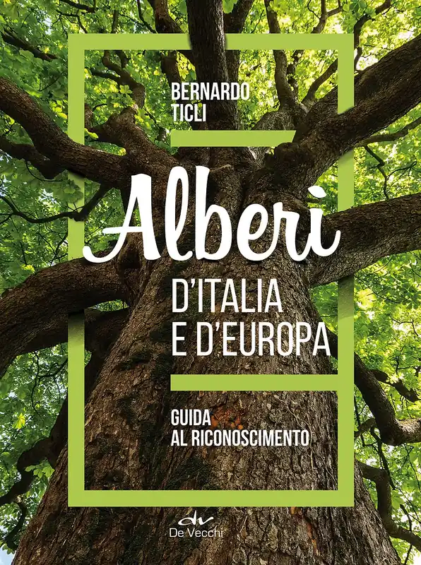 Super Prezzo Alberi d‘Italia e d‘Europa Guida al riconoscimento