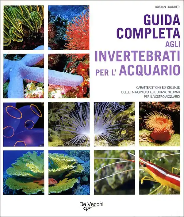 Miglior Prezzo Guida completa agli invertebrati per l‘acquario Caratteristiche ed esigenze delle principali specie di invertebrati per il vostro acquario