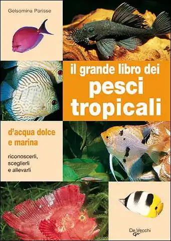 Il grande libro dei pesci tropicali d‘acqua dolce e marina Riconoscerli, sceglierli, allevarli Popolare